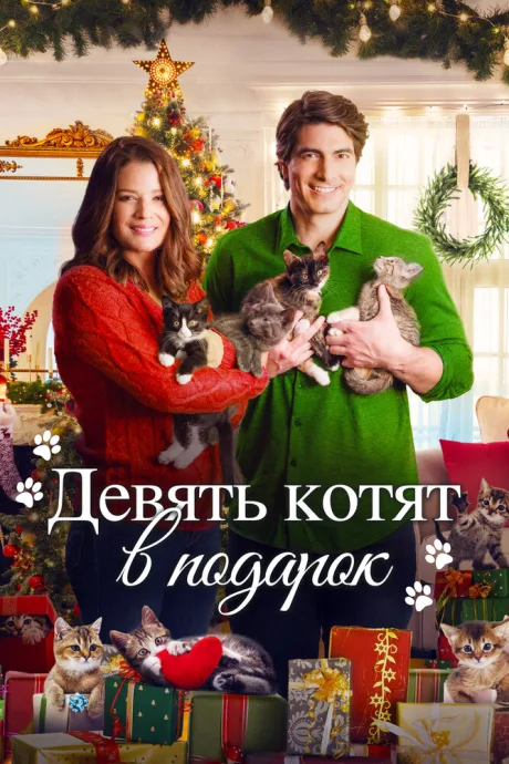 Девять котят в подарок